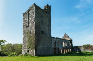 Sigginstown Tower House